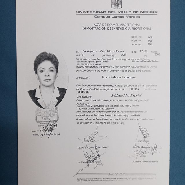 Ampliar imagen: certificate 3