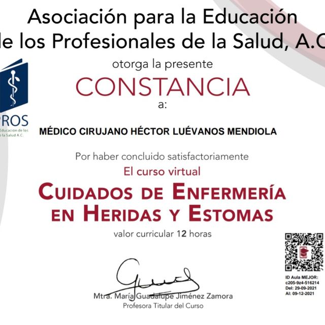 Ampliar imagen: certificate 7