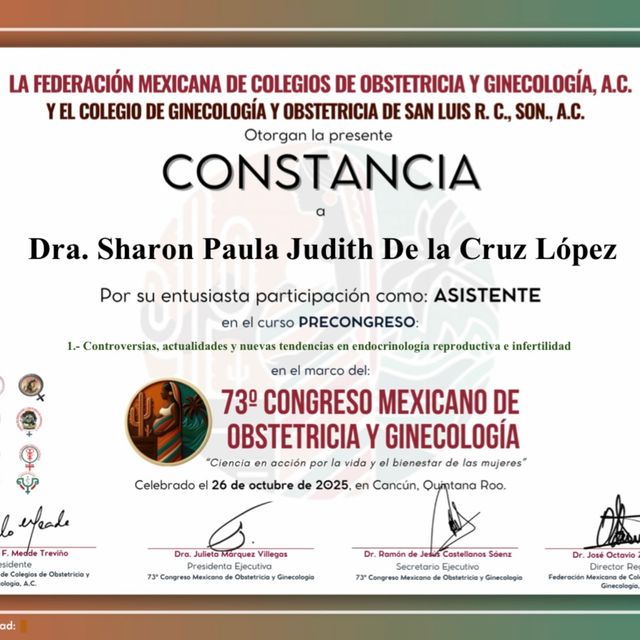 Ampliar imagen: certificate 23
