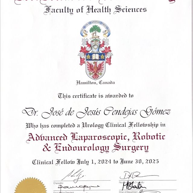 Ampliar imagen: certificate 4