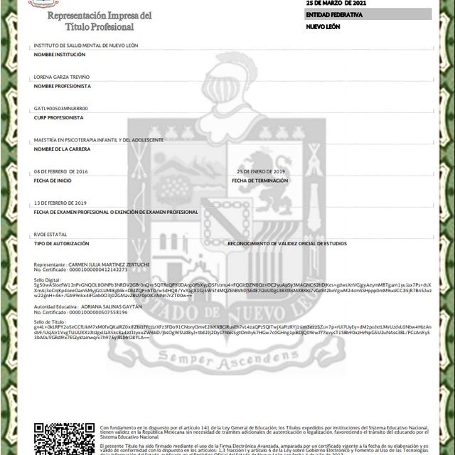 Ampliar imagen: certificate 5