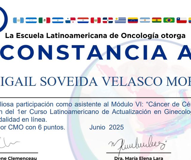 Ampliar imagen: certificate 8