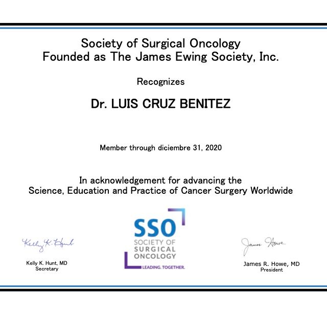 Ampliar imagen: certificate 5