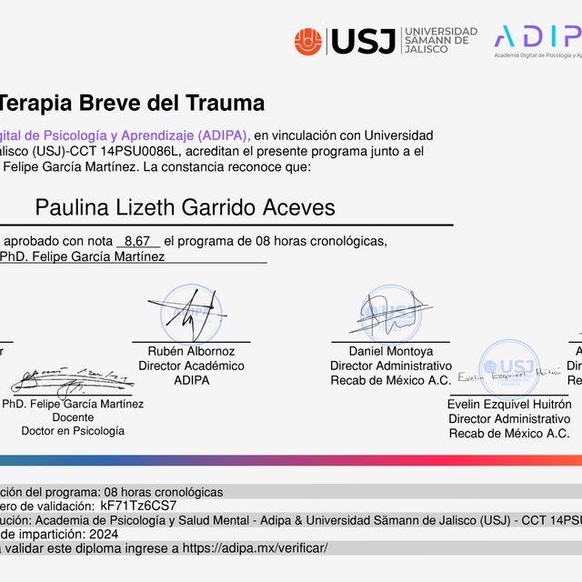 Ampliar imagen: certificate 1