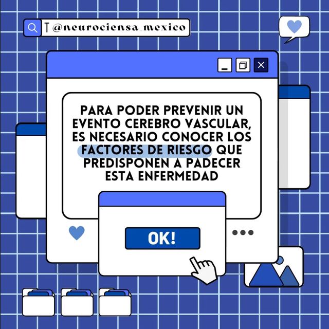 Ampliar imagen: certificate 22