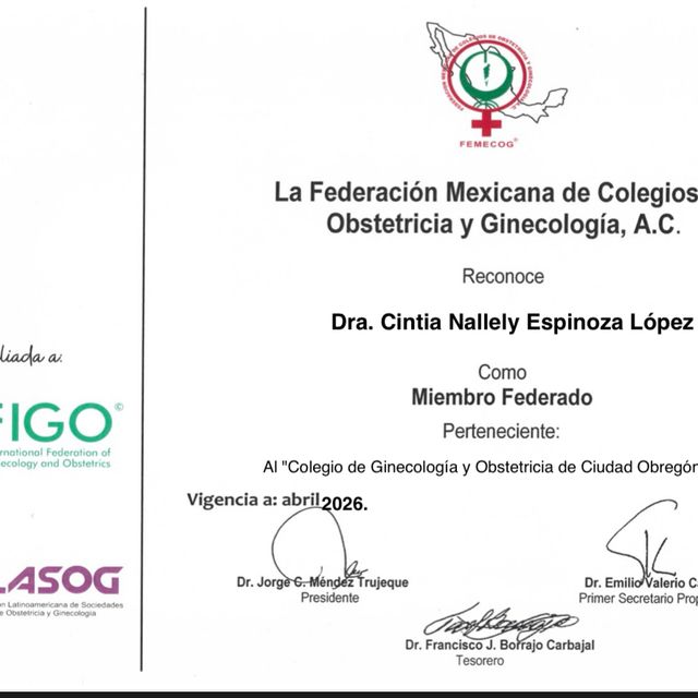 Ampliar imagen: certificate 1