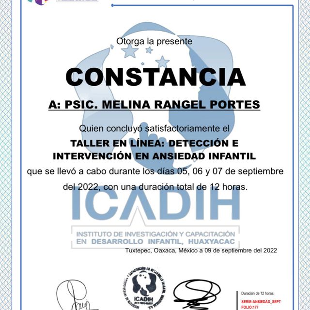 Ampliar imagen: certificate 2