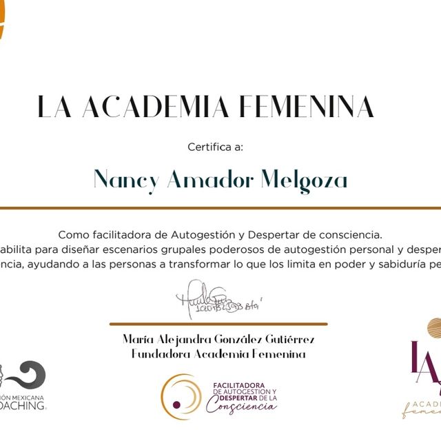 Ampliar imagen: certificate 12