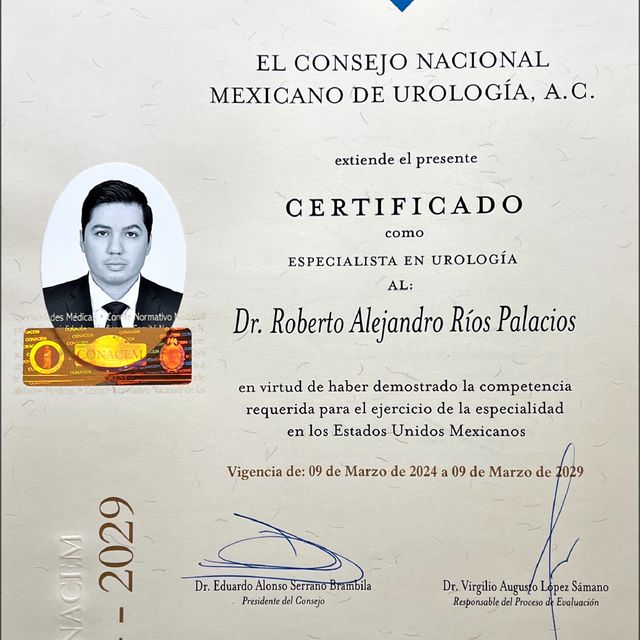 Ampliar imagen: certificate 4