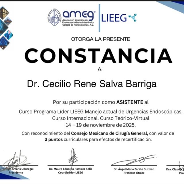 Ampliar imagen: certificate 14
