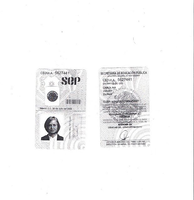 Ampliar imagen: certificate 4