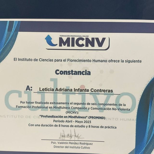 Ampliar imagen: certificate 13