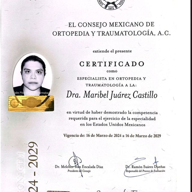 Ampliar imagen: certificate 2