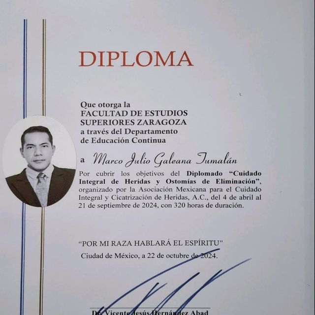Ampliar imagen: certificate 7