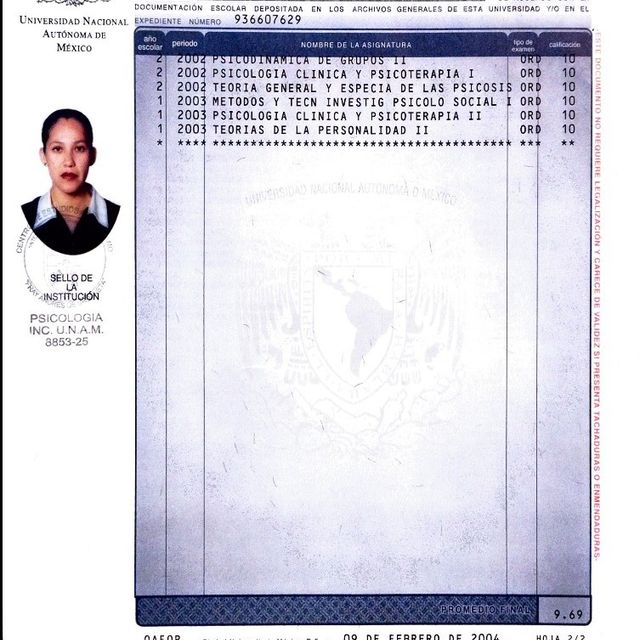 Ampliar imagen: certificate 9