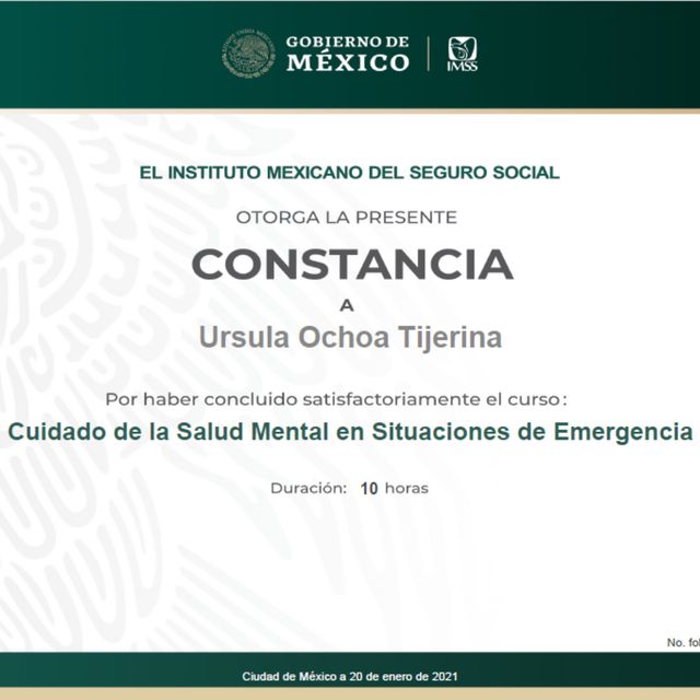 Ampliar imagen: certificate 6