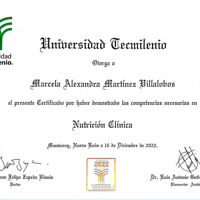 Ampliar imagen: certificate 3