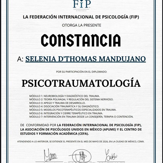 Ampliar imagen: certificate 4