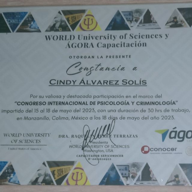 Ampliar imagen: certificate 6