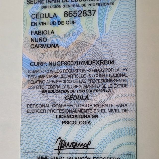 Ampliar imagen: certificate 5