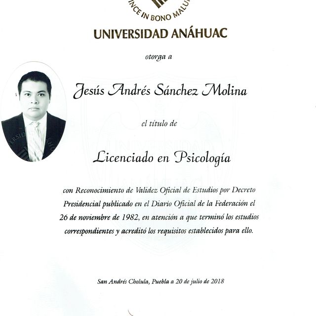 Ampliar imagen: certificate 2