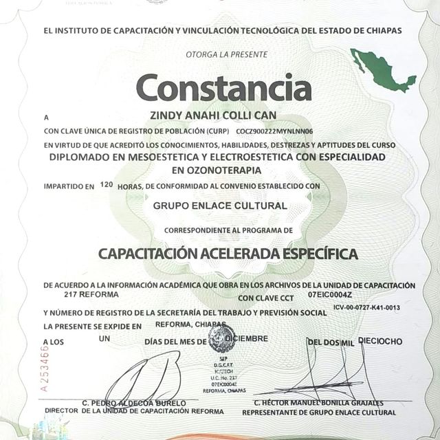 Ampliar imagen: certificate 1