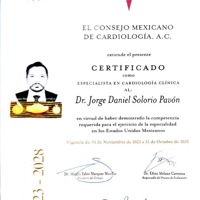 Ampliar imagen: certificate 3