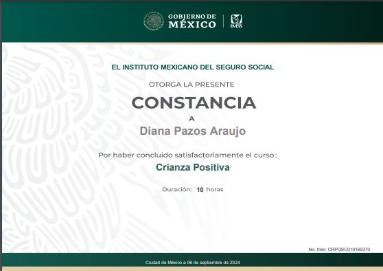 Ampliar imagen: certificate 11