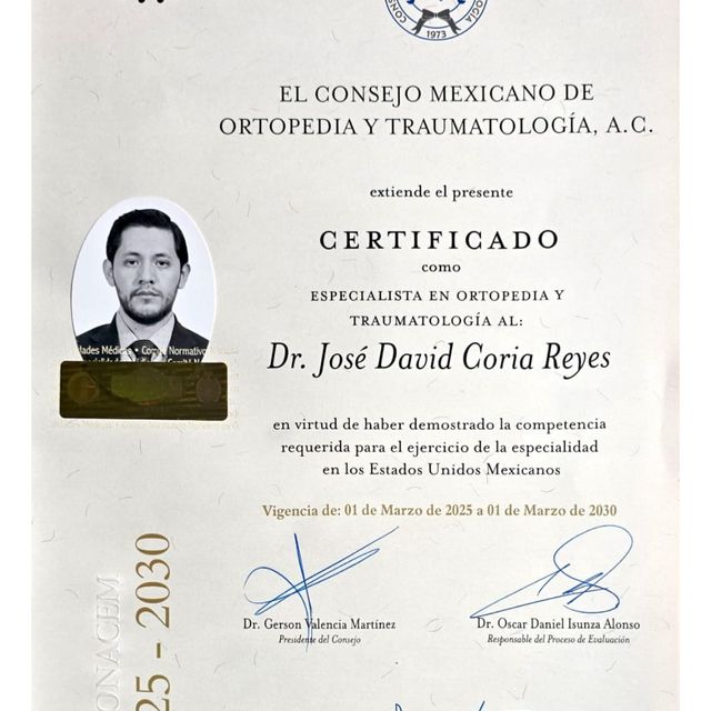 Ampliar imagen: certificate 7