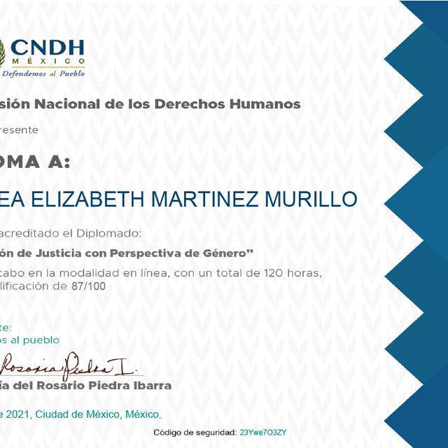 Ampliar imagen: certificate 27