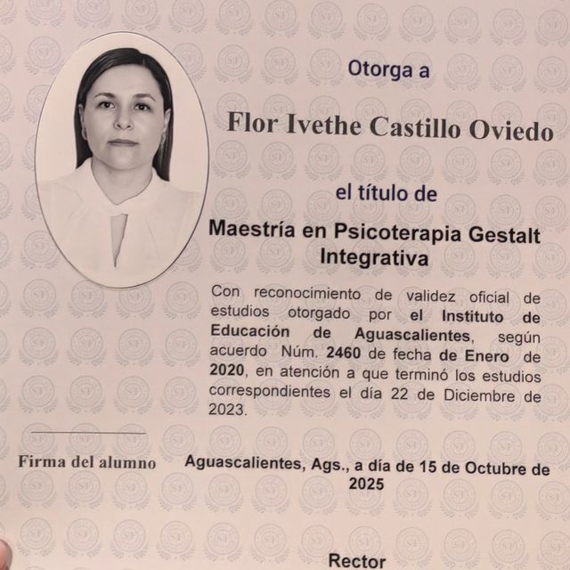 Ampliar imagen: certificate 3