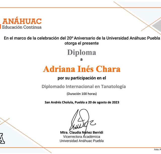 Ampliar imagen: certificate 4