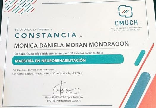 Ampliar imagen: certificate 3