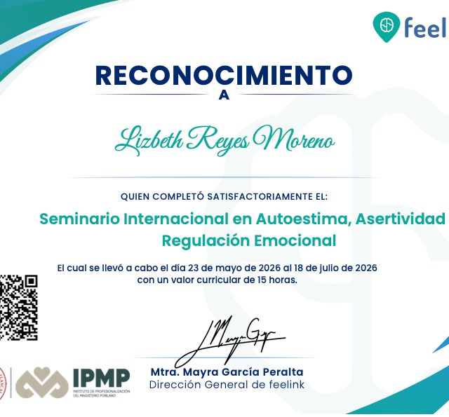Ampliar imagen: certificate 6