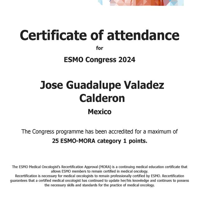 Ampliar imagen: certificate 5