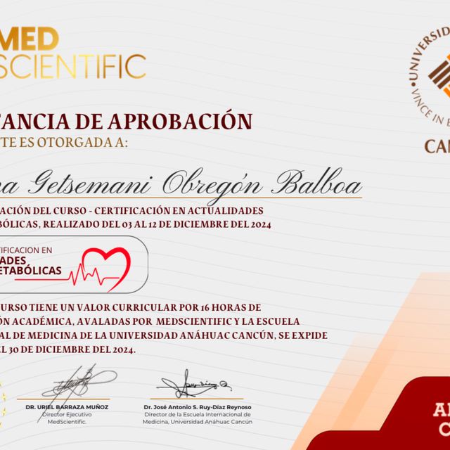 Ampliar imagen: certificate 12