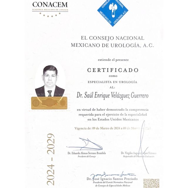 Ampliar imagen: certificate 3