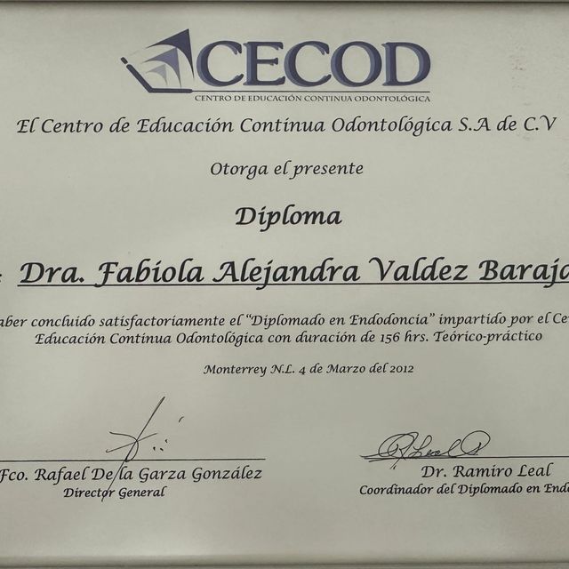 Ampliar imagen: certificate 6