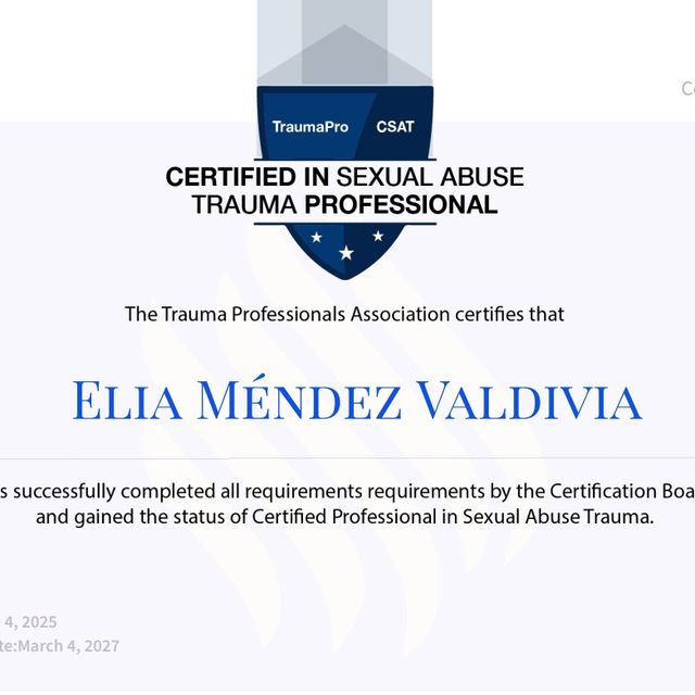 Ampliar imagen: certificate 5