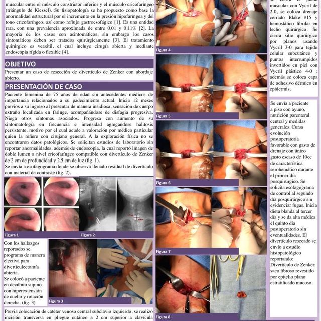 Ampliar imagen: certificate 8
