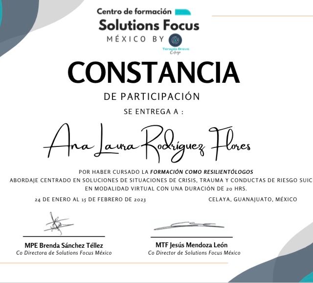 Ampliar imagen: certificate 2