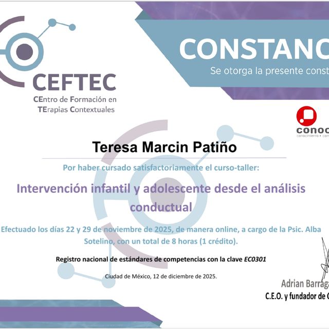 Ampliar imagen: certificate 1