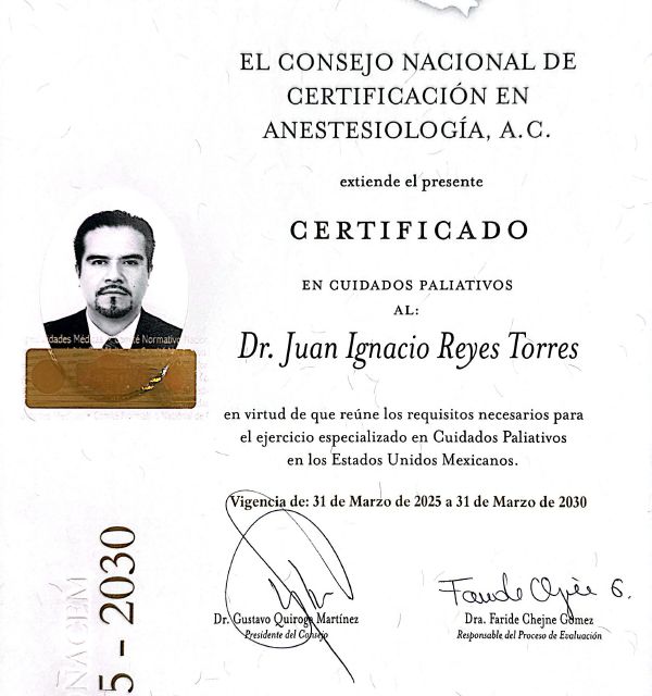 Ampliar imagen: certificate 2