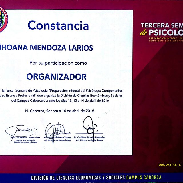 Ampliar imagen: certificate 7
