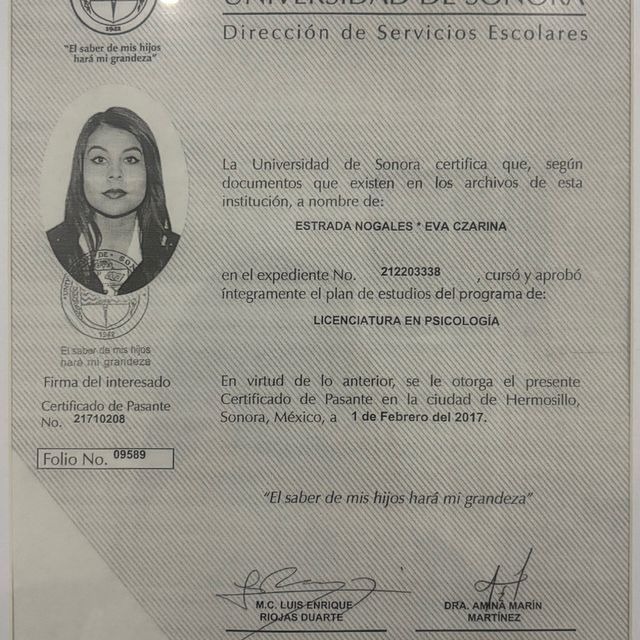 Ampliar imagen: certificate 1