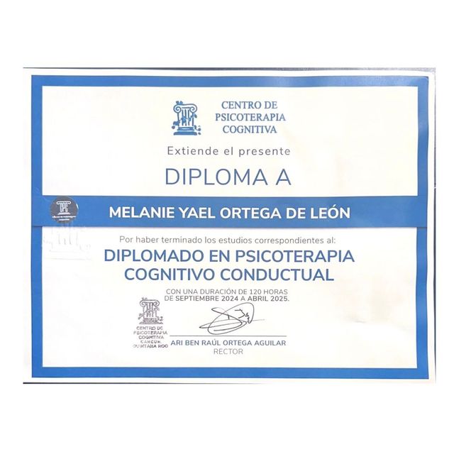 Ampliar imagen: certificate 2