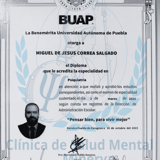 Ampliar imagen: certificate 2