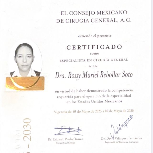 Ampliar imagen: certificate 1