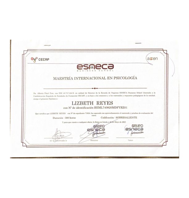 Ampliar imagen: certificate 4