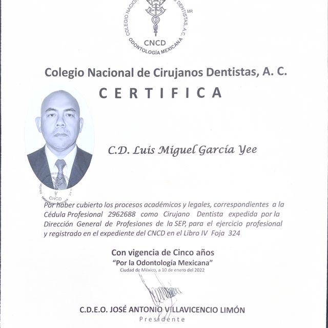 Ampliar imagen: certificate 6